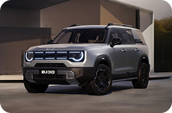 Baic BJ 30