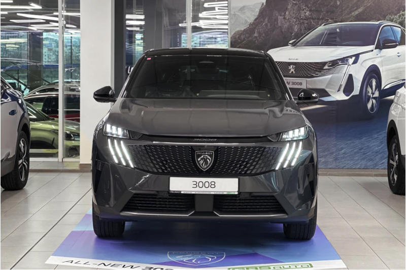 NEW 3008