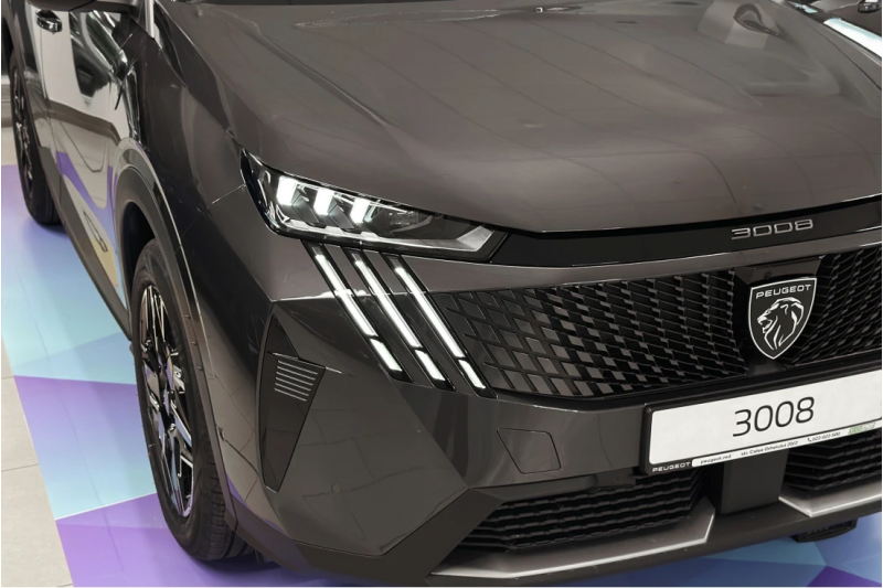 NEW 3008