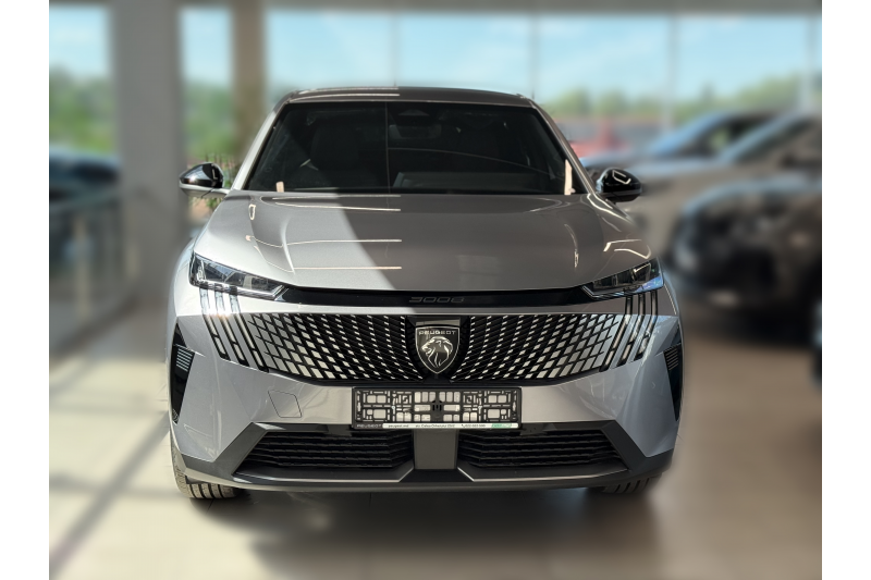 3008 NEW