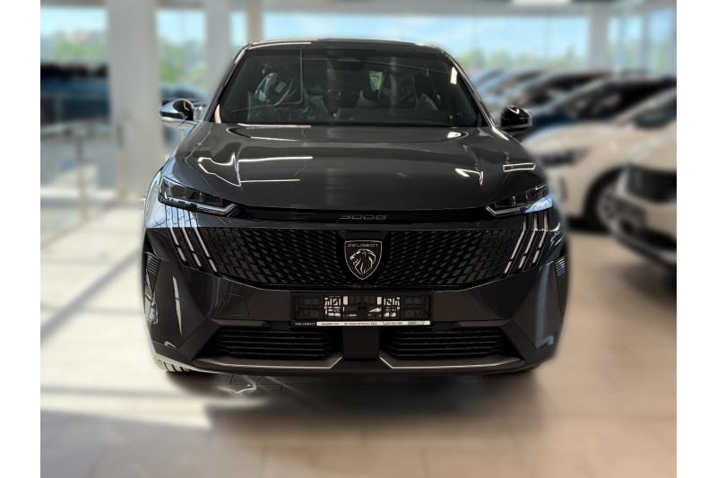 3008 NEW