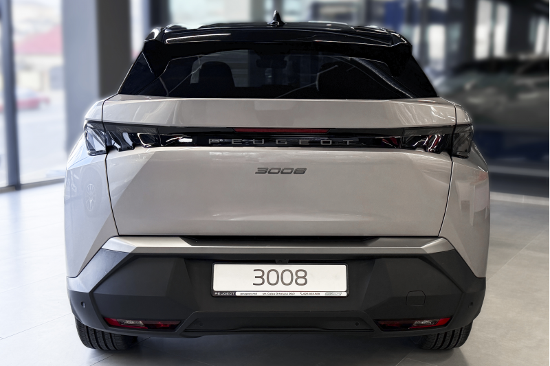 3008 NEW