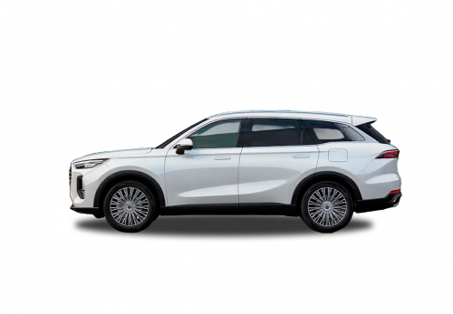 TIGGO 9