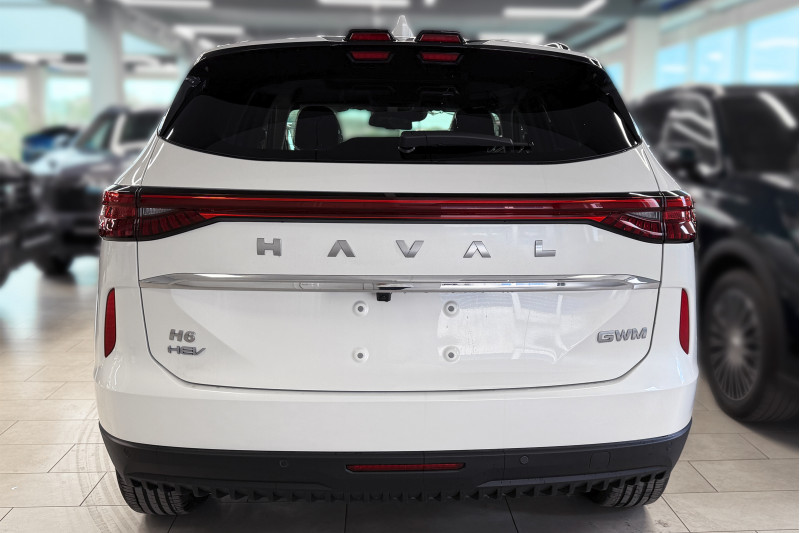 H6 HEV