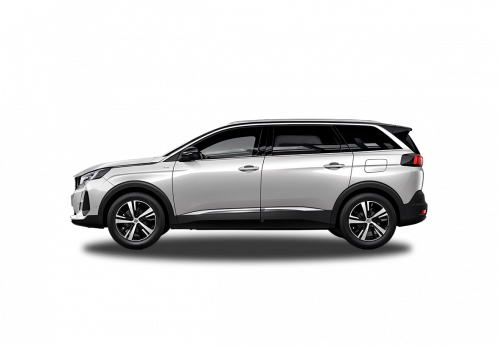 NEW 3008