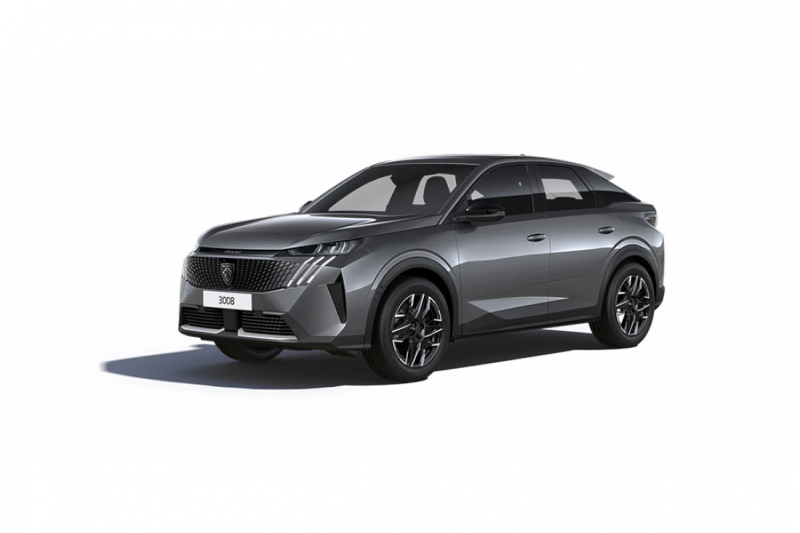 NEW 3008